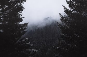 ethereum testnet faucet airdrop list