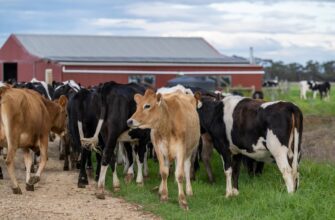 farm ada on coinbase staking in 2025