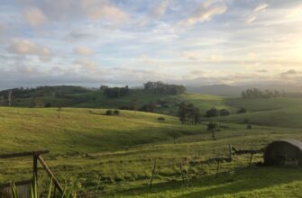 farm ada on pendle highest apy