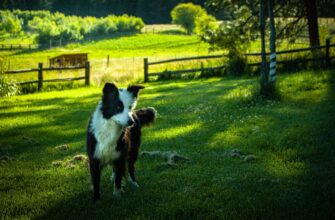farm bnb on aave guide