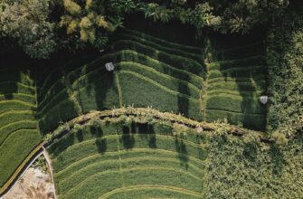 farm bnb on binance earn guide