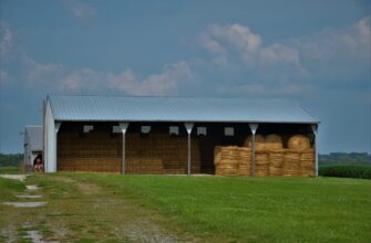 farm bnb on compound guide
