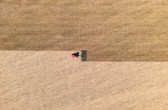 farm dot on compound no lock
