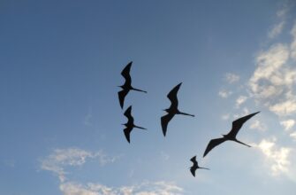 free aptos airdrop on layerzero