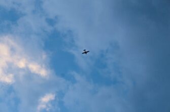 free avax airdrop on coinbase