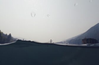 free avax airdrop on starknet