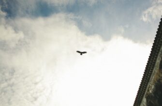 free eth airdrop in uk
