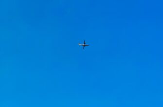 free matic airdrop in usa