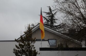 free pepe airdrop in germany