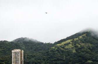 free solana airdrop in brazil