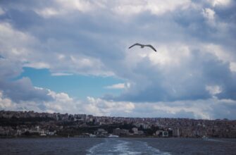 free solana airdrop in turkey