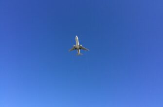free sui airdrop in australia