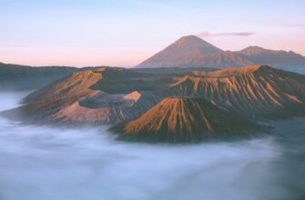 free sui airdrop in indonesia