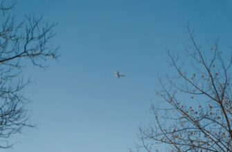 free sui airdrop in uk