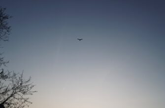 free sui airdrop on kucoin