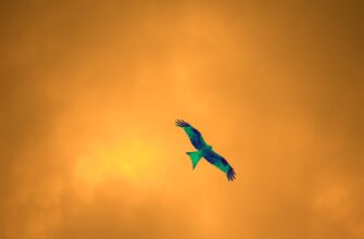 get ethereum airdrop on arbitrum