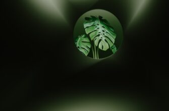 get ethereum airdrop on layerzero
