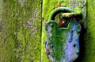 guard crypto wallet safely best practices