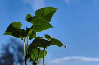 guard seed phrase safely best practices