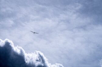how to claim btc airdrop step by step
