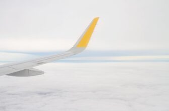 how to claim ton airdrop for beginners
