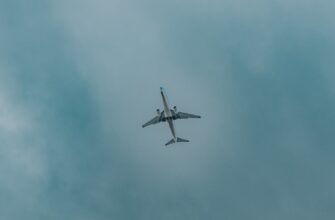 how to collect avax airdrop massive