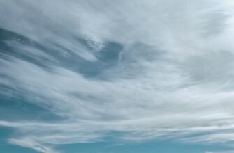 how to free ethereum airdrop legit