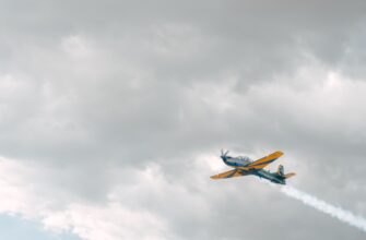 how to qualify for avax airdrop for beginners