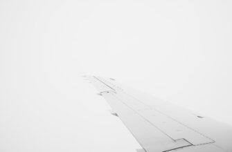 how to qualify for dot airdrop legit