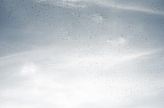 how to qualify for ethereum airdrop airdrop list