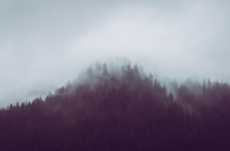 how to receive ethereum airdrop step by step