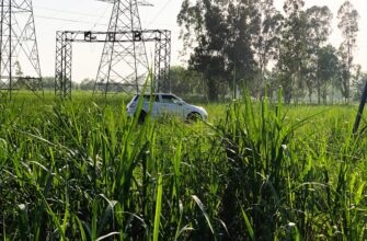 how to report defi yield in pakistan