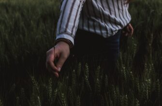 how to report defi yield in uk