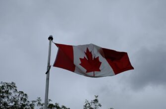 how to report staking rewards in canada