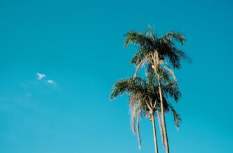 how to sell btc with paypal in miami