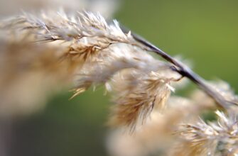 is it safe to secure seed phrase air gapped