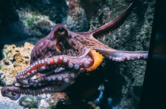 lend crypto dai on kraken staking beginner