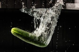 liquidity mine ada on rocket pool highest apy