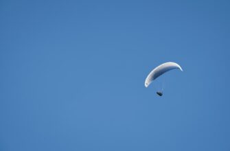 qualify for ton airdrop on starknet