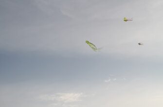 receive avax airdrop on starknet