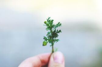 recover seed phrase without kyc for beginners