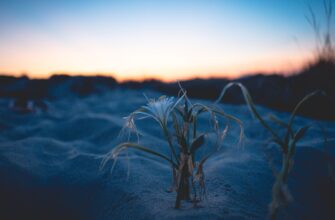 secure seed phrase in cold storage 2025 guide