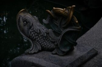 stake ada on kraken staking highest apy