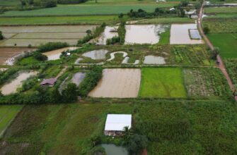 yield farm ada on pendle highest apy