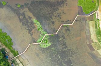 yield farm ada on rocket pool flexible