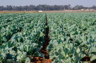 yield farm avax on binance earn flexible
