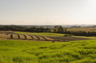 yield farm avax on pendle in 2025