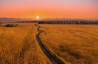 yield farm dot on pendle in 2025