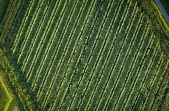 yield farm ethereum on aave highest apy