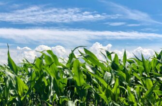 yield farm ethereum on binance earn